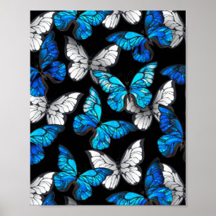 Affiche Dark Seamless Pattern with Blue Butterflies Morpho