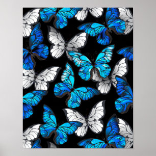 Affiche Dark Seamless Pattern with Blue Butterflies Morpho