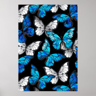 Affiche Dark Seamless Pattern with Blue Butterflies Morpho
