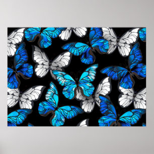 Affiche Dark Seamless Pattern with Blue Butterflies Morpho