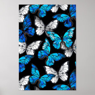 Affiche Dark Seamless Pattern with Blue Butterflies Morpho