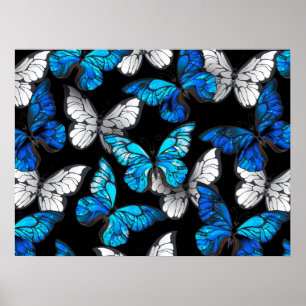 Affiche Dark Seamless Pattern with Blue Butterflies Morpho