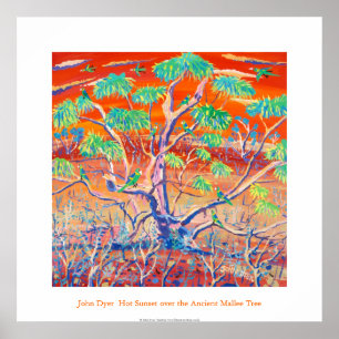 Affiche d'art : Arbre de Mallee de coucher du