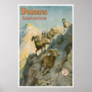 Affiche d'art de chasse au mouton Big Horn occiden