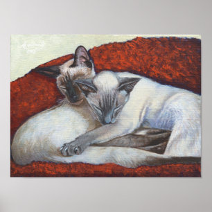 Affiche d'art de chat de Simaese "de petit somme