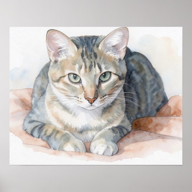 Affiche d'art de chat tigré (Devant)