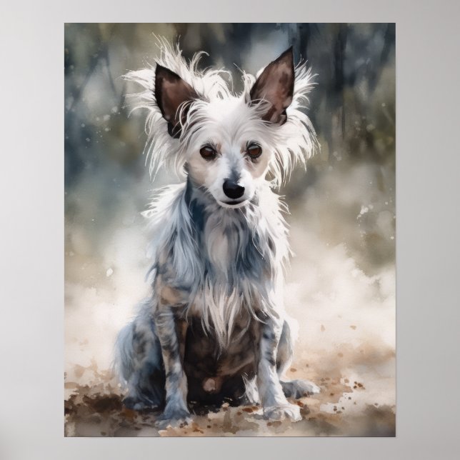 Affiche d'art de chien crêté chinois (Devant)