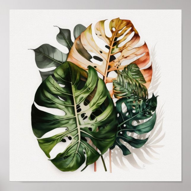 Affiche d'art de feuilles de Monstera (Devant)