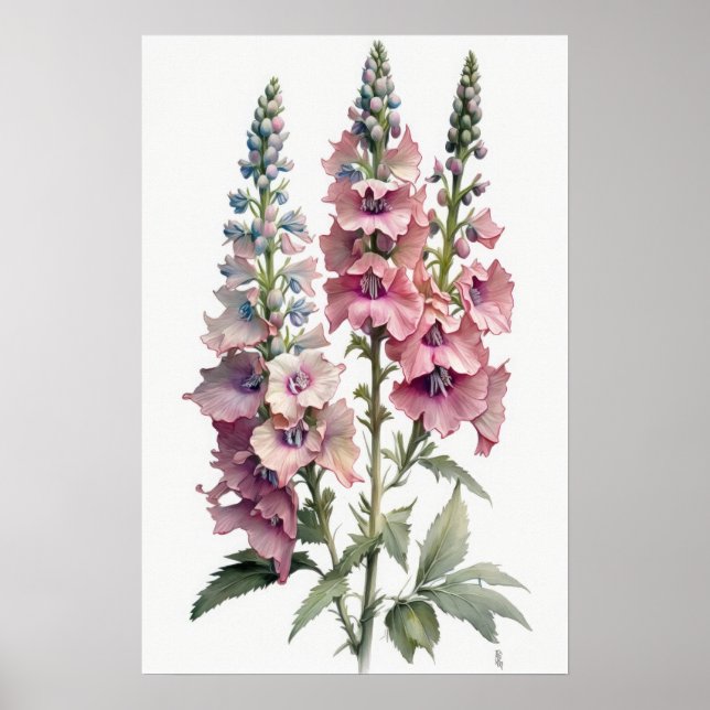 Affiche d'art de fleur de Delphinium rose (Devant)
