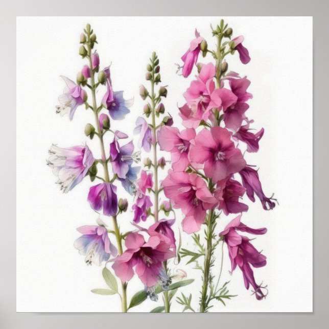 Affiche d'art de fleur de Delphinium rose (Devant)