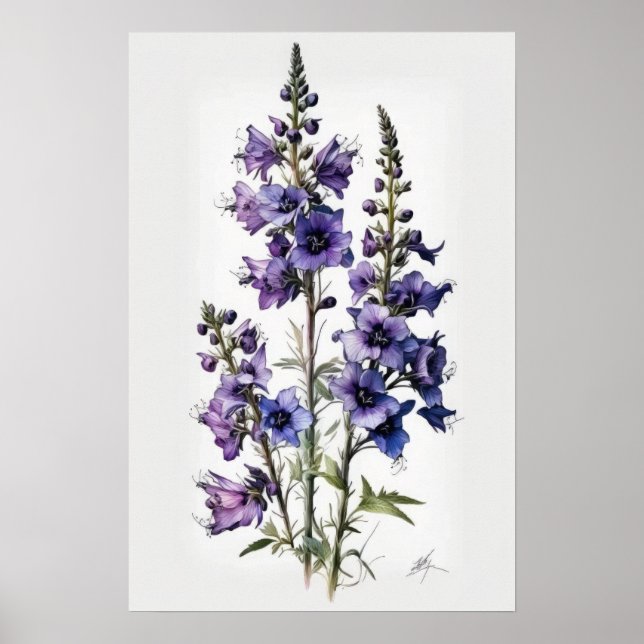 Affiche d'art de fleur de pied-d'alouette pourpre (Devant)