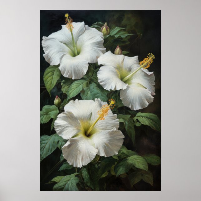 Affiche d'art de fleur d'Hibiscus blanc (Devant)