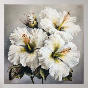 Affiche d'art de fleur d'hibiscus blanc