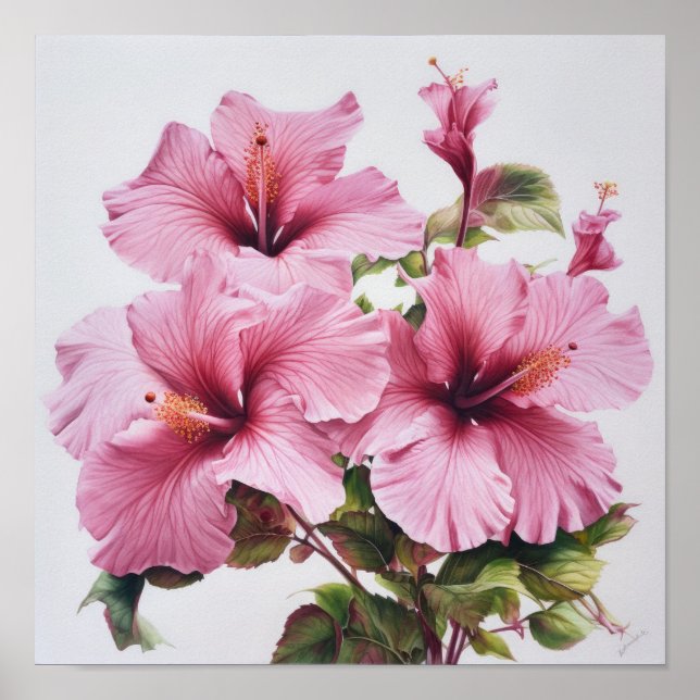 Affiche d'art de fleur d'hibiscus rose (Devant)