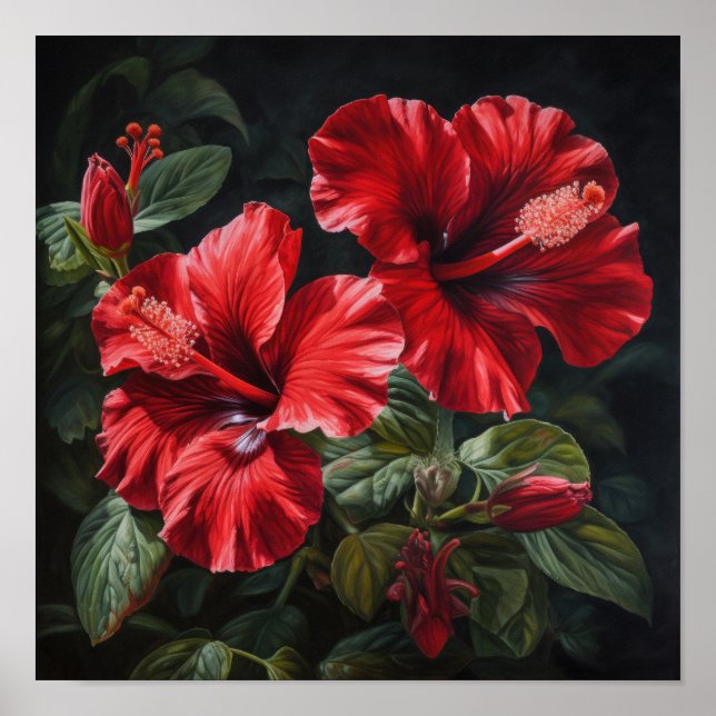 Affiche d'art de fleur d'Hibiscus rouge (Devant)