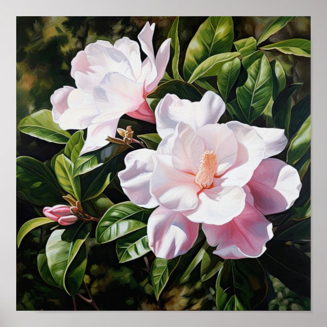 Affiche d'art de fleurs de Gardenias roses (Devant)