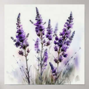 Affiche d'art de fleurs de lavande