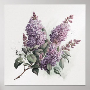 Affiche d'art de fleurs de lilas