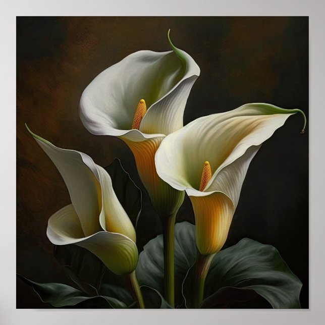 Affiche d'art de fleurs de lys calla blanc (Devant)
