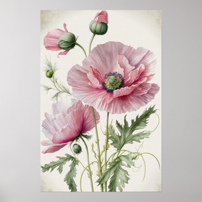 Affiche d'art de fleurs de pavot rose (Devant)