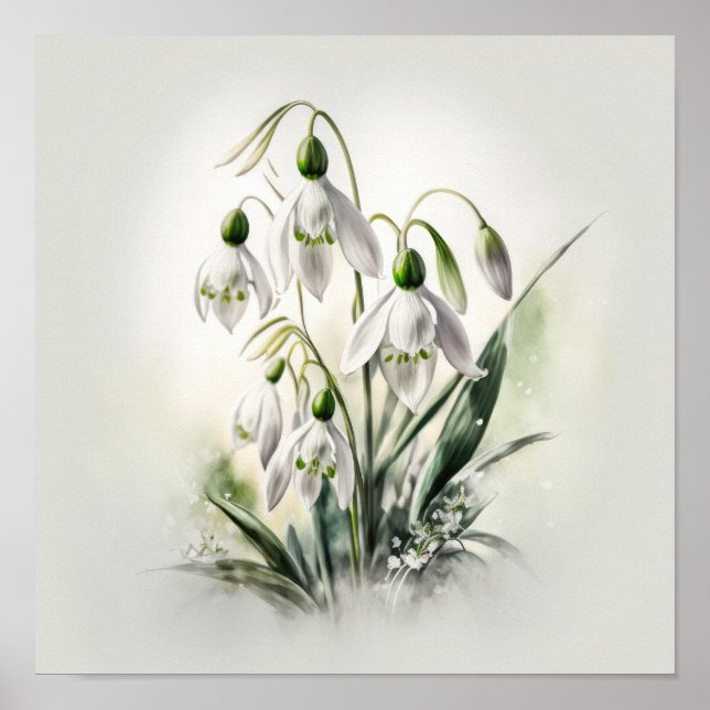 Affiche d'art de fleurs de Perce-Neige blanches (Devant)