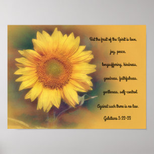 Affiche d'art de la Bible de tournesol