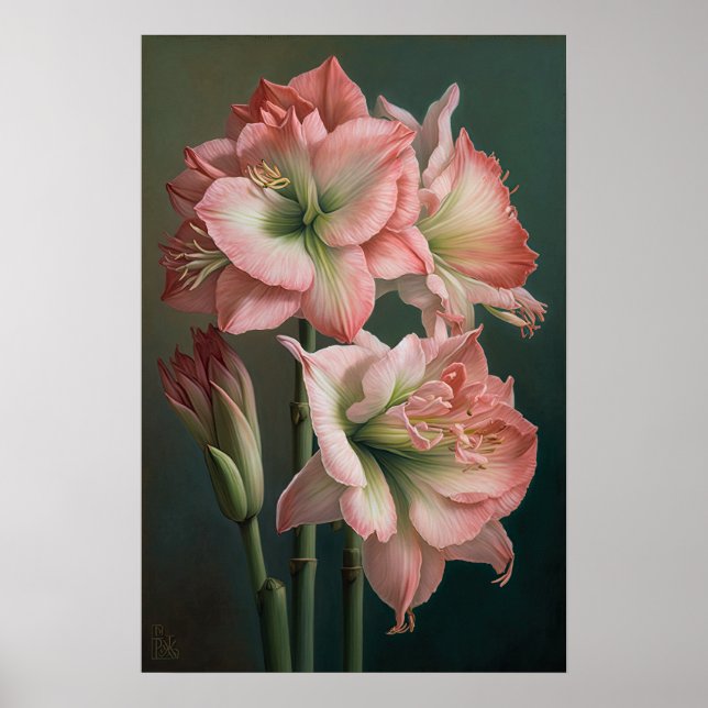 Affiche d'art de la fleur d'amaryllis rose (Devant)