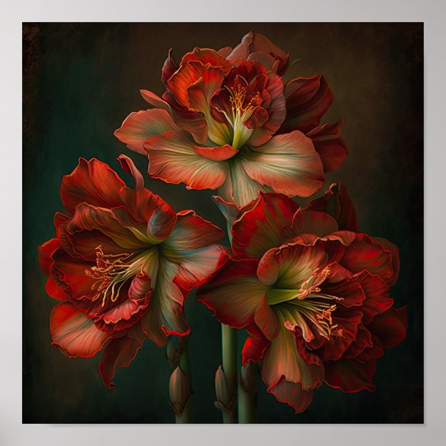 Affiche d'art de la fleur d'amaryllis rouge (Devant)