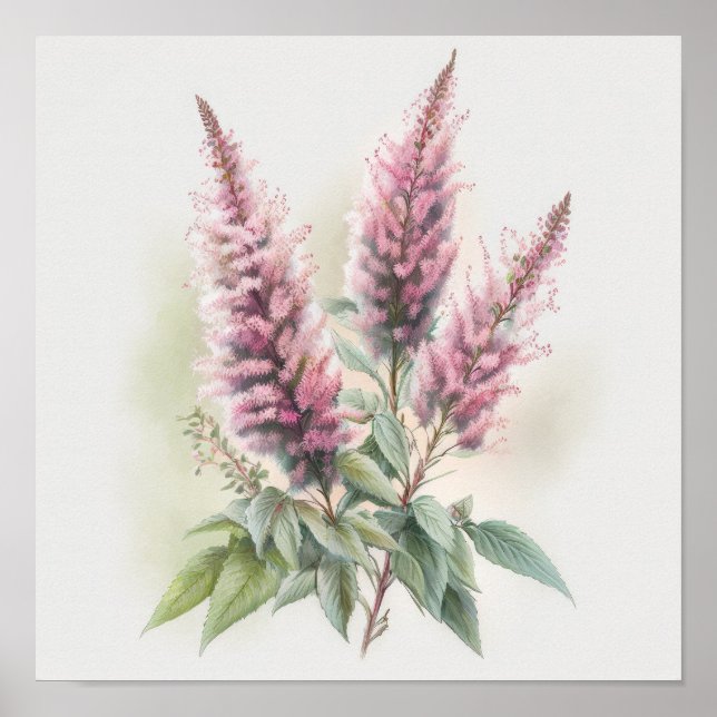 Affiche d'art de la fleur d'Astilbe rose (Devant)