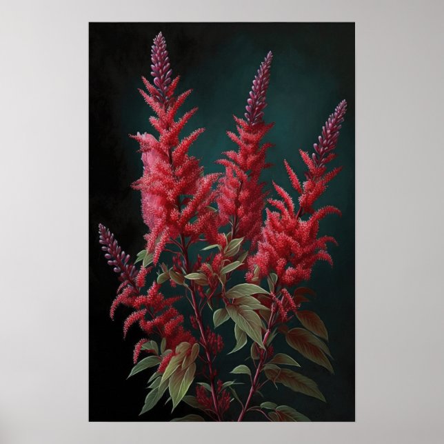 Affiche d'art de la fleur d'Astilbe rouge (Devant)