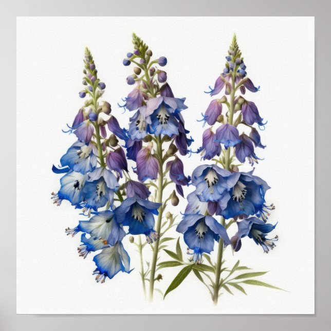 Affiche d'art de la fleur de Delphinium bleu (Devant)