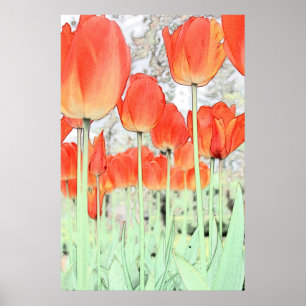 affiche d'art de la fleur de tulipe rouge. jardin 