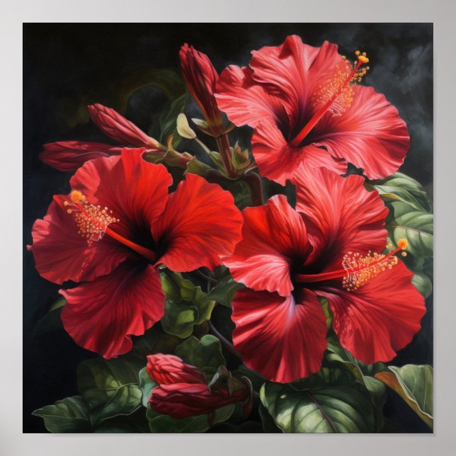 Affiche d'art de la fleur d'Hibiscus rouge (Devant)