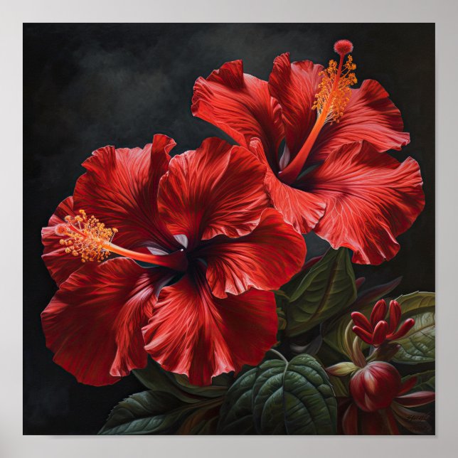 Affiche d'art de la fleur d'hibiscus rouge (Devant)