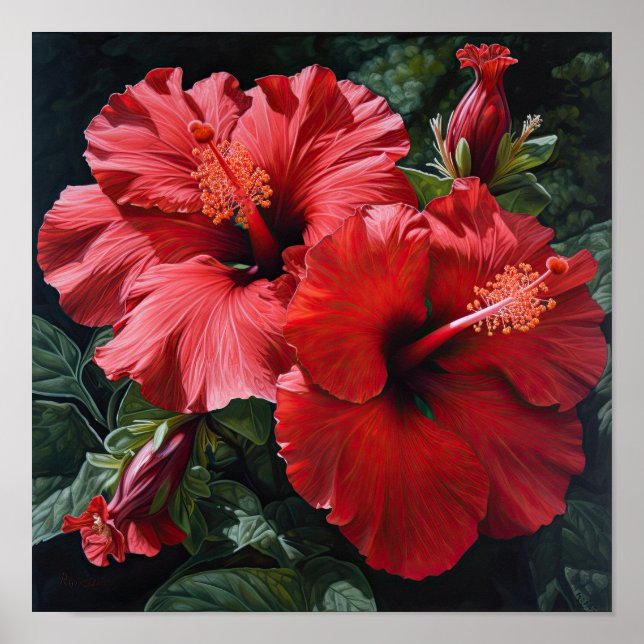 Affiche d'art de la fleur d'hibiscus rouge (Devant)