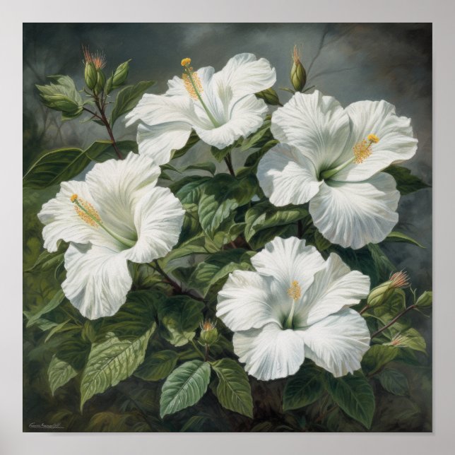 Affiche d'art de l'impression de fleur d'Hibiscus  (Devant)