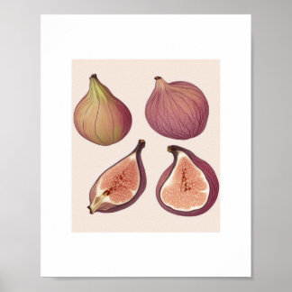 AFFICHE D'ART DE MUR DE FRUITS