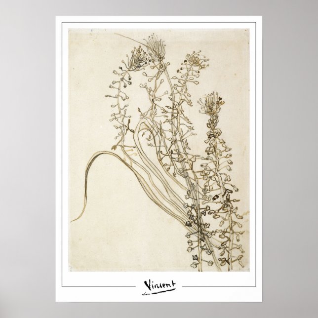 Affiche d'art de Vincent Van Gogh Zedign #356-3 (Devant)