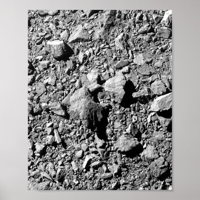 Affiche DART Dimorphos Asteroid Moonlet Surface (Devant)