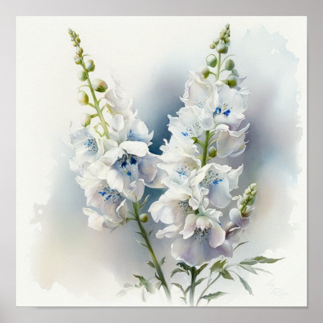 Affiche d'art d'impression de fleur de Delphinium  (Devant)