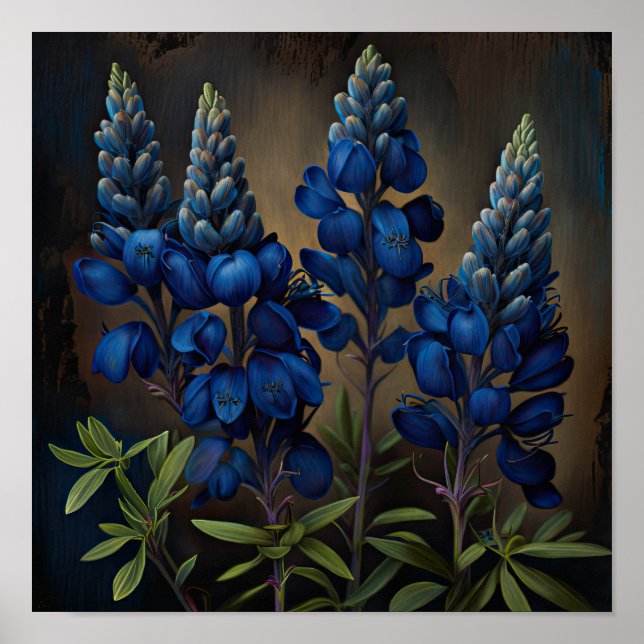 Affiche d'art d'impression de fleur de Lupin Bleu (Devant)