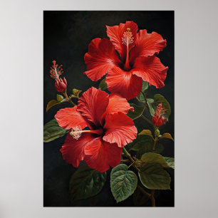 Affiche d'art d'impression de fleur d'Hibiscus rou