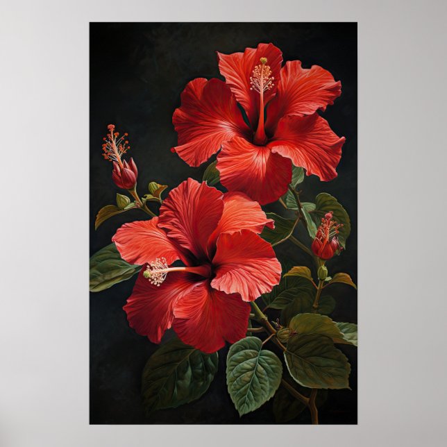 Affiche d'art d'impression de fleur d'Hibiscus rou (Devant)