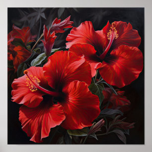 Affiche d'art d'impression de fleur d'Hibiscus rou