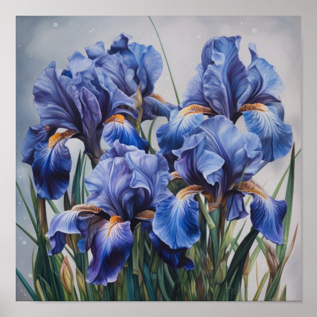 Affiche d'art d'impression de fleurs d'Iris bleus (Devant)