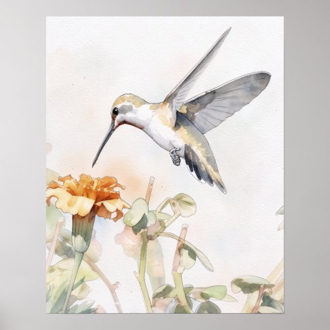 Affiche d'art d'oiseau Colibri (Devant)