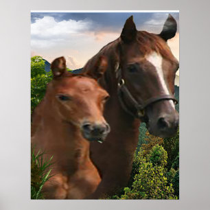 Affiche d'art du cheval
