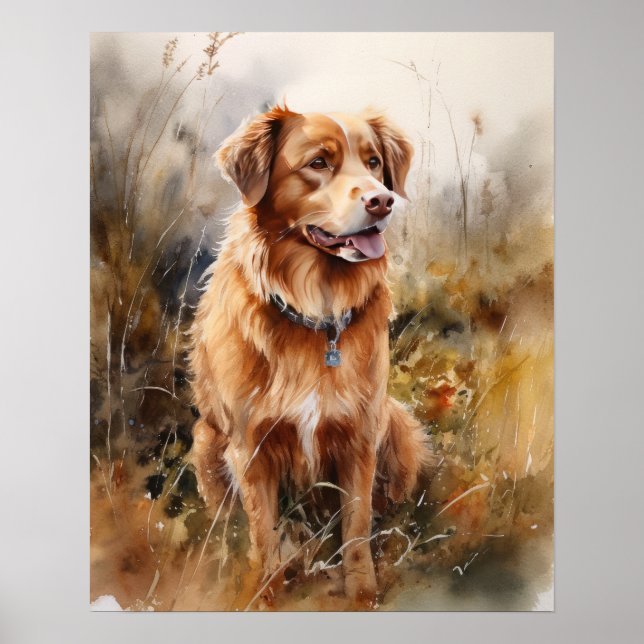 Affiche d'art du chien Nova Scotia Duck Tolling Re (Devant)