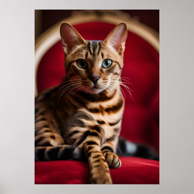 Affiche d'art fin Portrait de chat Bengal — Rouge  (Devant)