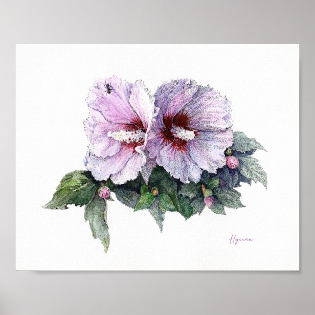 Affiche d'art fine Rose de Sharon (Devant)
